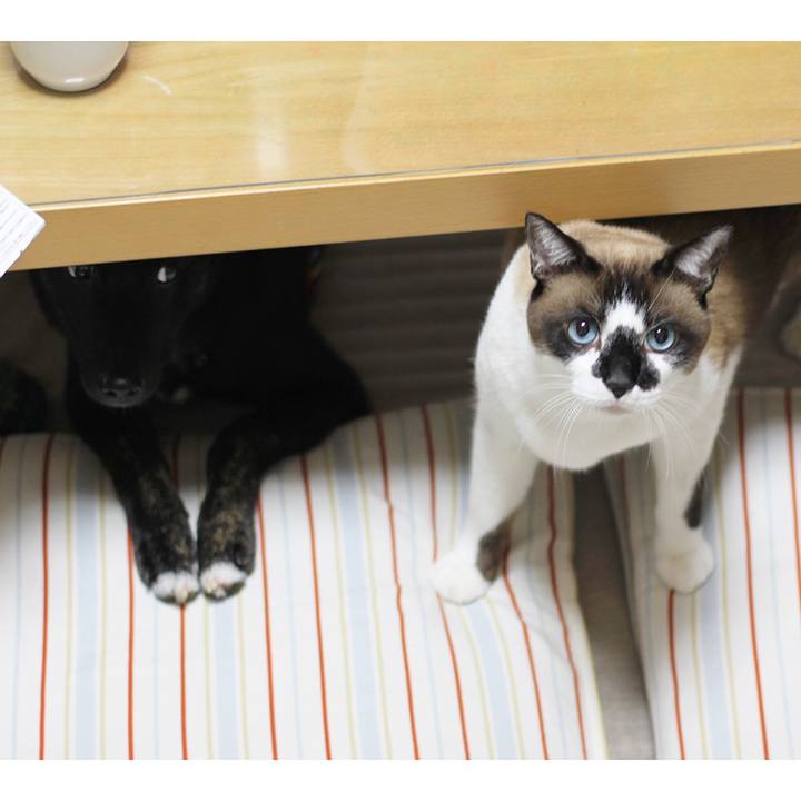 75fd2bec 01af 4747 8693 f59ea9a9d700