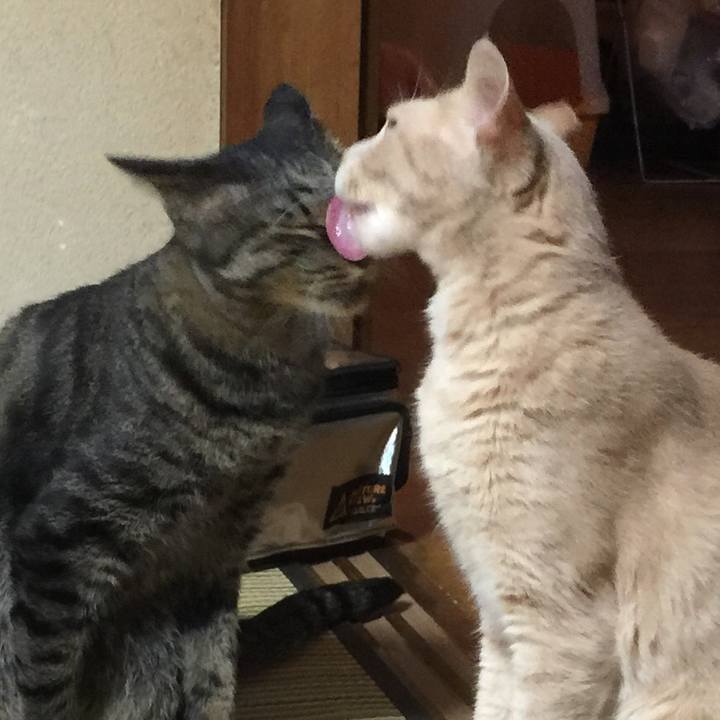 75fd3ee8 6fdd 4611 9edb 0e41269e203d