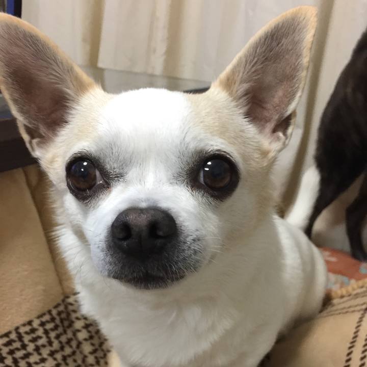 75fe87be c3e6 4485 aff2 e8471ef1f022