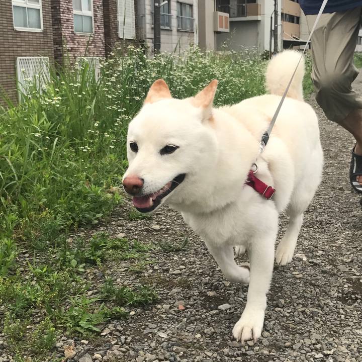 75feb2cb 41d0 412a a521 65b9b9a526e3