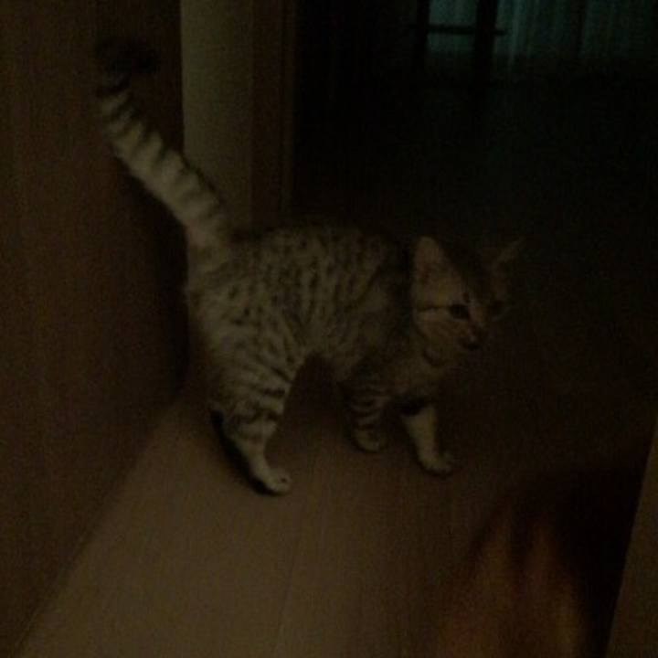 75fefe5a 402d 40ea b4ed a5ee84b11199