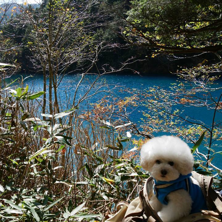 75ff6d7f 5e24 4805 87a8 1dc715554ba9