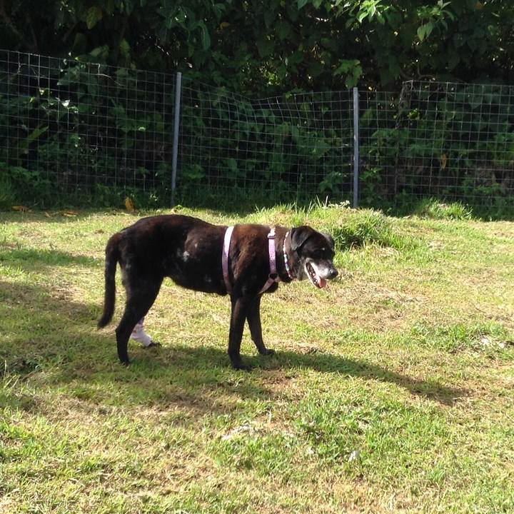 75ff7fd5 3152 4be5 9816 1b17f71fa8f8