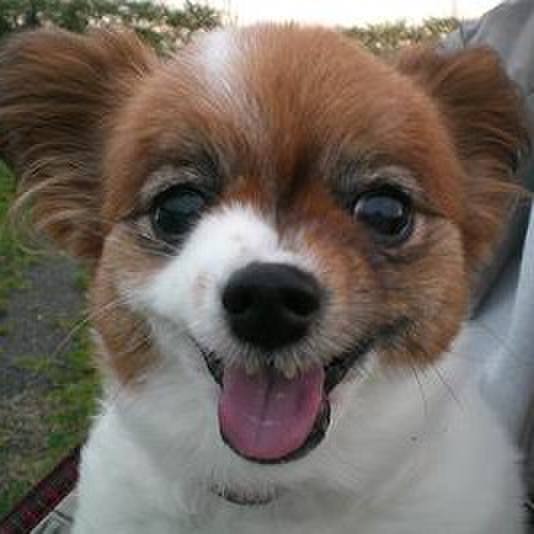 7600c344 76d8 4f91 9d04 93544766bdeb