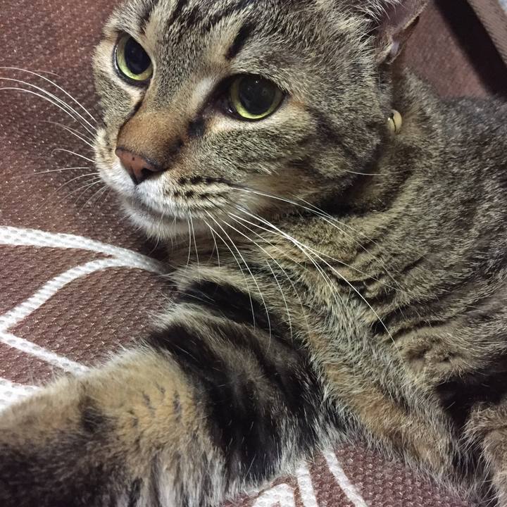 7600d181 135e 4cea b1cb 4255c62d3a36