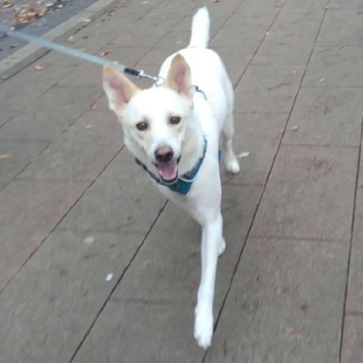 760142c2 00ea 4edc bbd1 0b8ed2206cc7