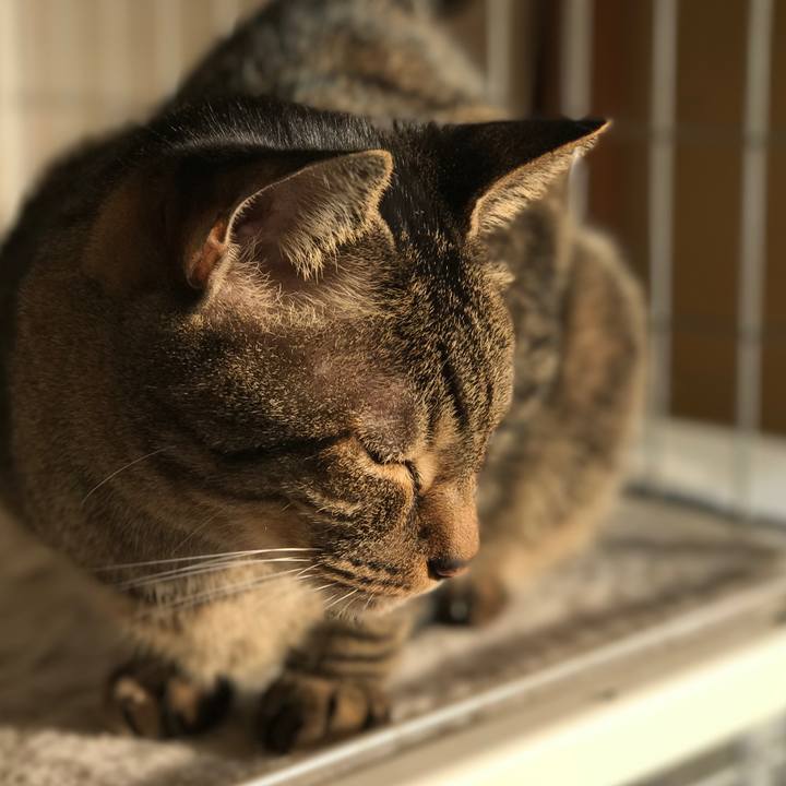 76015d05 efa1 4dcc b8b5 7920075a581a