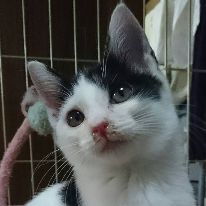 76020c4c a23b 4fc1 a14b 1cd33402a5c8