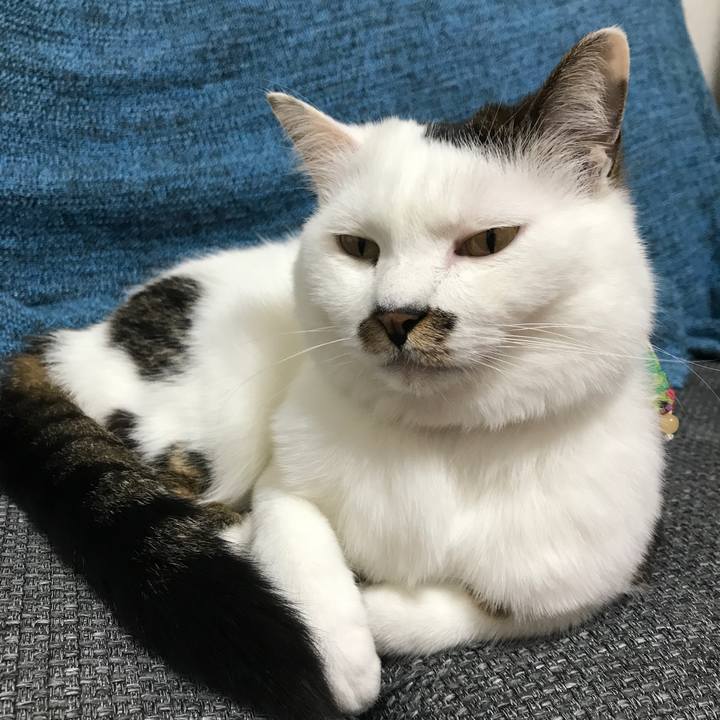 76023c53 ab3c 4420 8911 12c71a594bd4