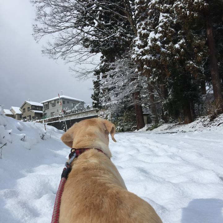 7602f811 1e9c 4308 8a26 ac17d90b234a