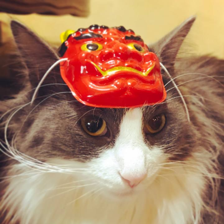 76039965 d430 460e bf55 387a69f8703b