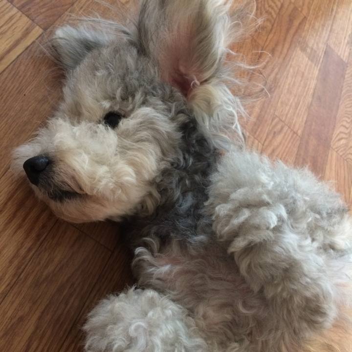 7603a277 b645 4484 bb55 b77fce27bf63