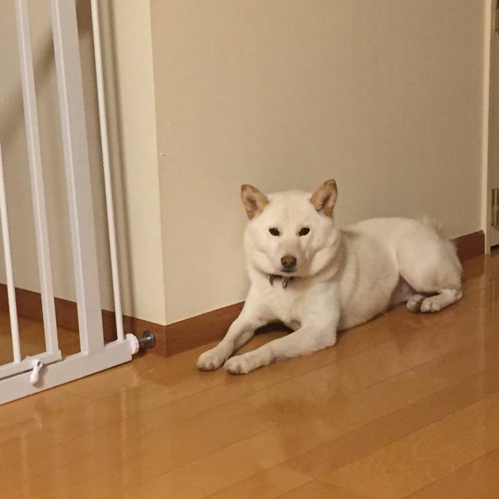 7604fc94 cb0d 401f 9782 f75e19982100