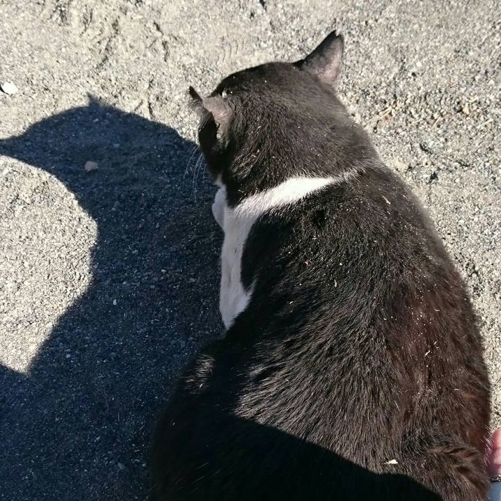 7604fcc5 2c43 487f aedc 2db2da5516de