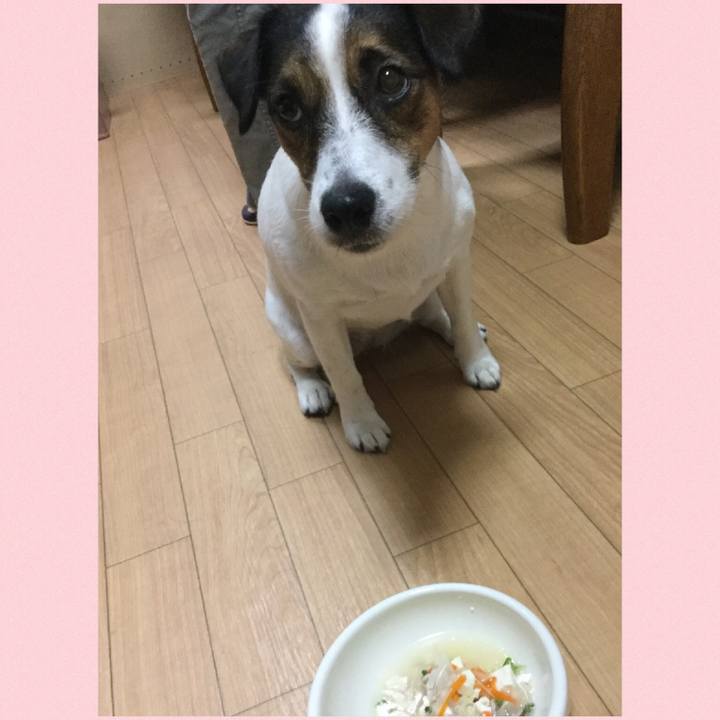 76051e9f afa1 4ac2 b8f5 a85b9d1aa164