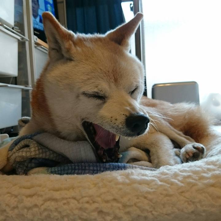 76052bbf 37da 4e88 af92 13569545a099