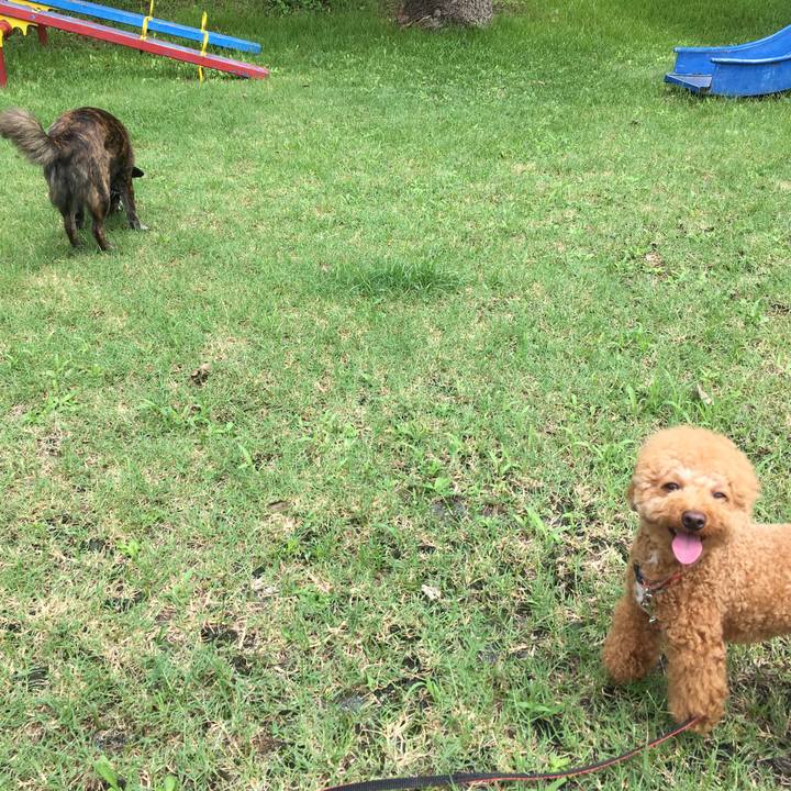 76067685 f7aa 40ff 9152 cded6364b5a8