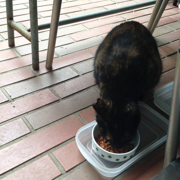 760682af 3c01 4cf4 8a1b 93fea1473b51