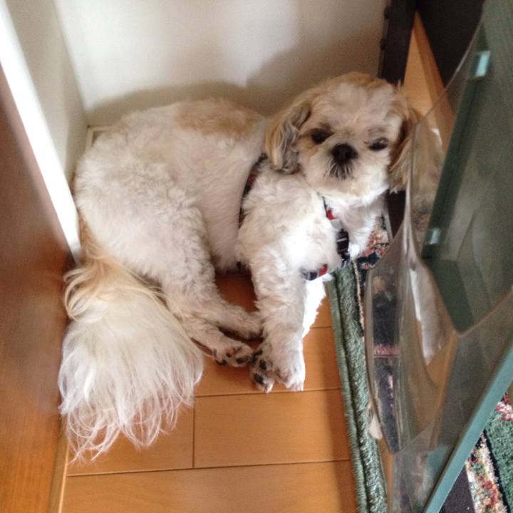 760717f6 3972 420b a308 8ef17508d86f