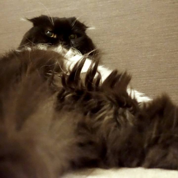 76090bad bd47 4441 bcd5 2691e204ef2d