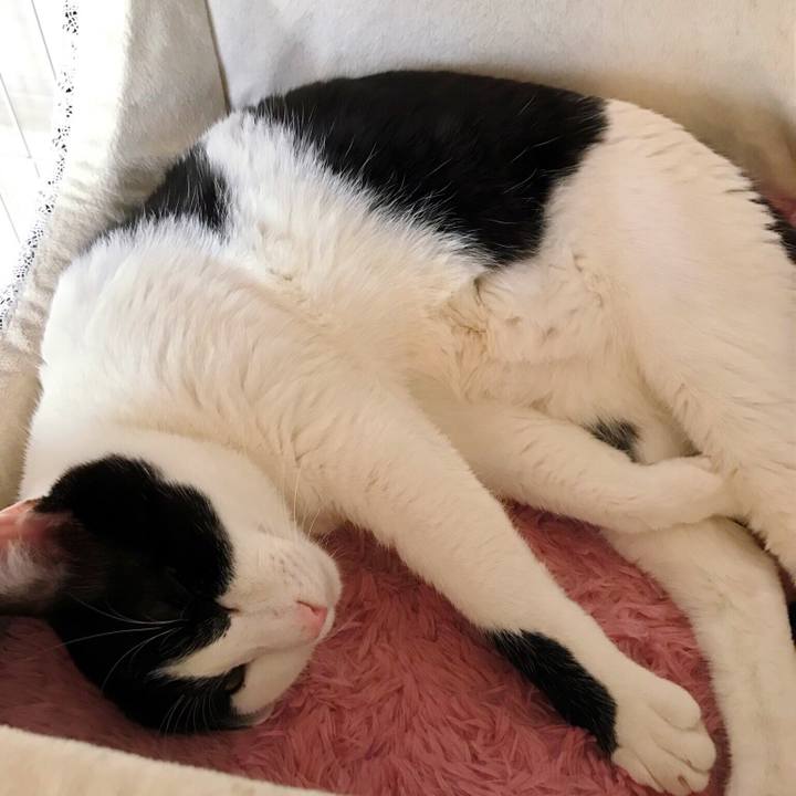 760976b0 37bd 42b1 99b0 50ec9d746781