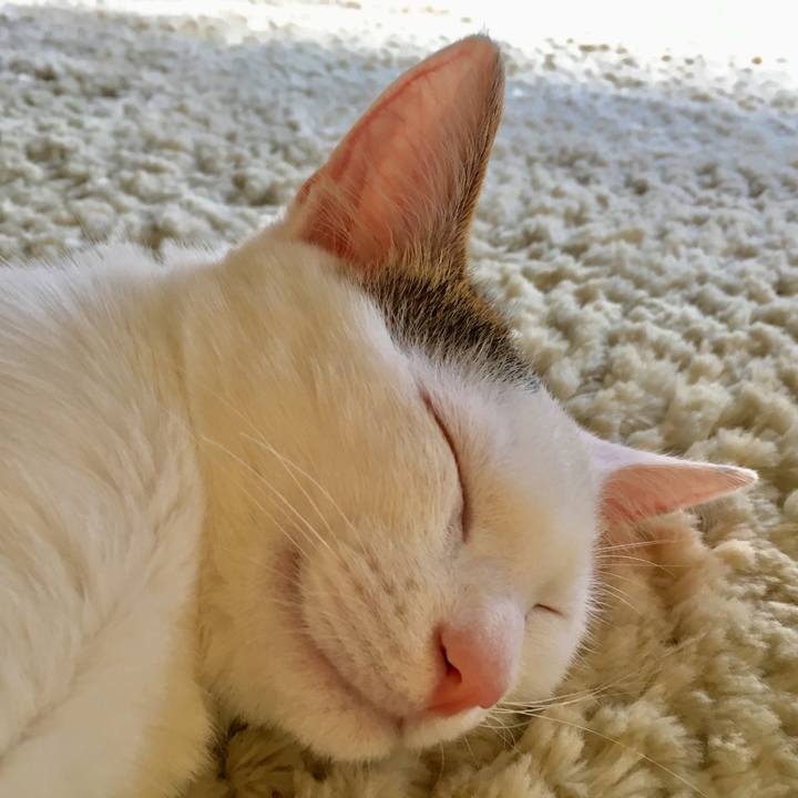 76099f89 b986 4977 ae94 eaba5e8c41eb