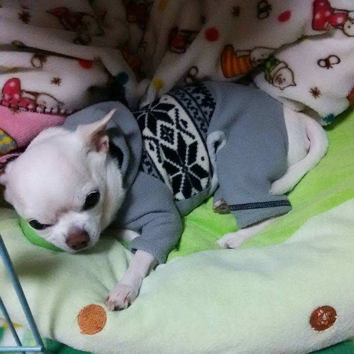 7609f9ae f90b 4c22 9d50 e63b346dd289