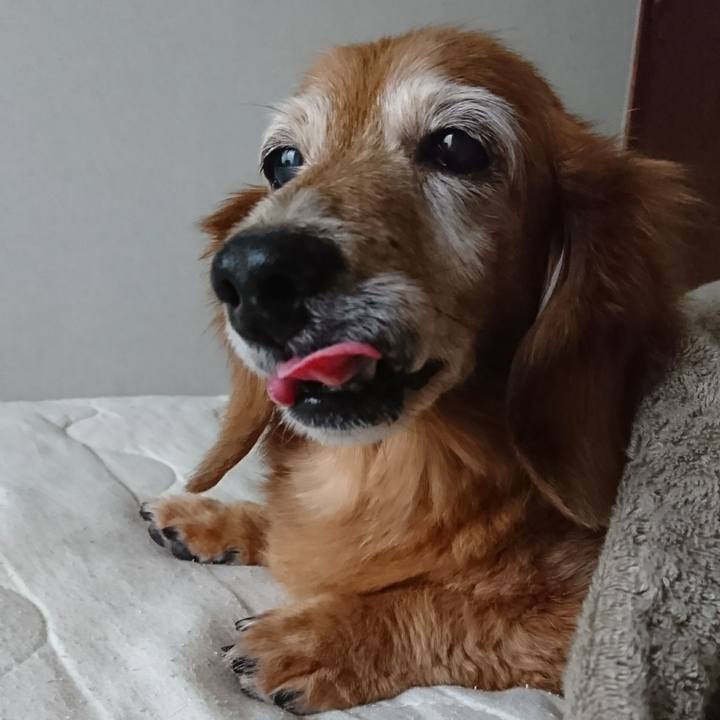 760adf4e 0dfc 4bfe 9bc1 d13c7b5056d8