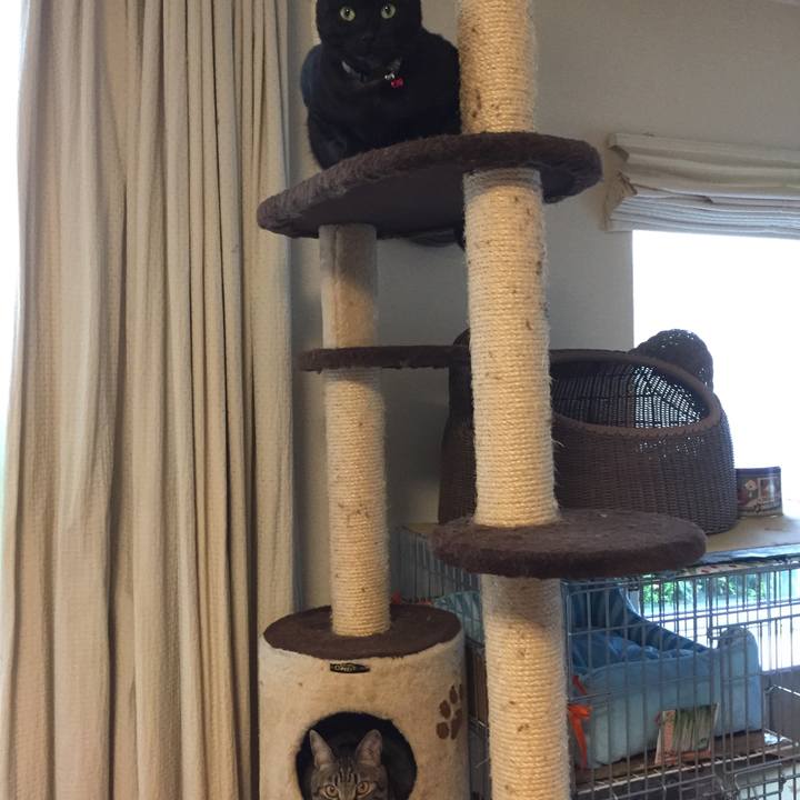 760b109f 8fa4 42ea 867f dd0b635d8c03