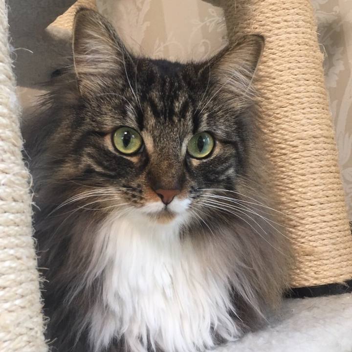 760b5cb4 7a8d 473b 8e63 a1b5cbe60241