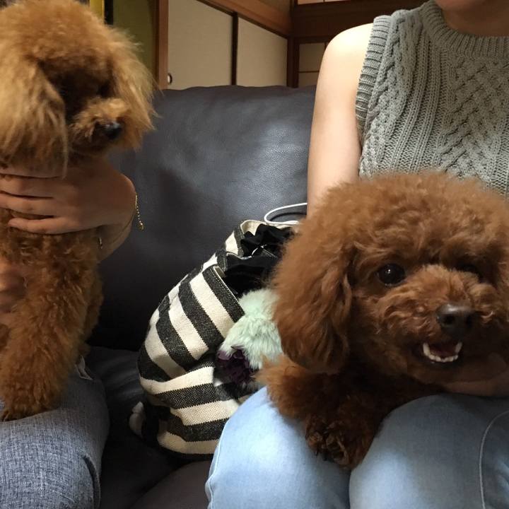 760b97c3 2a9d 40ec 8caf a661b4672f21