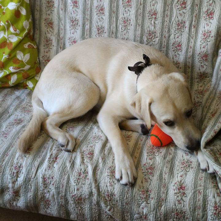 760bdc66 538b 480b ada1 cd27216b15d5