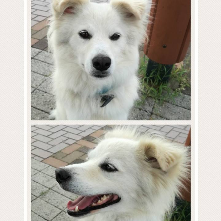 760cb3a6 f857 494e ad3d 5f86ea232ab8