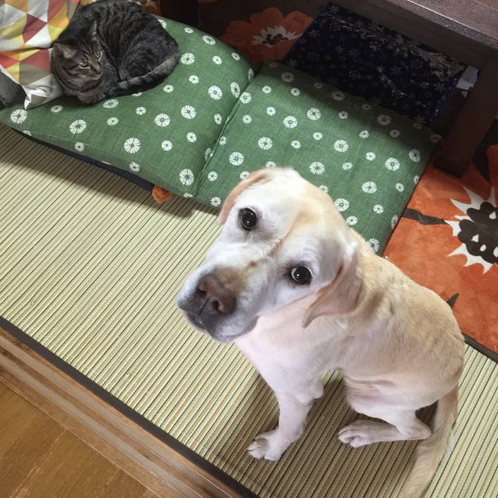 760d9eac bcf4 434f 8066 5a82218b5bd0