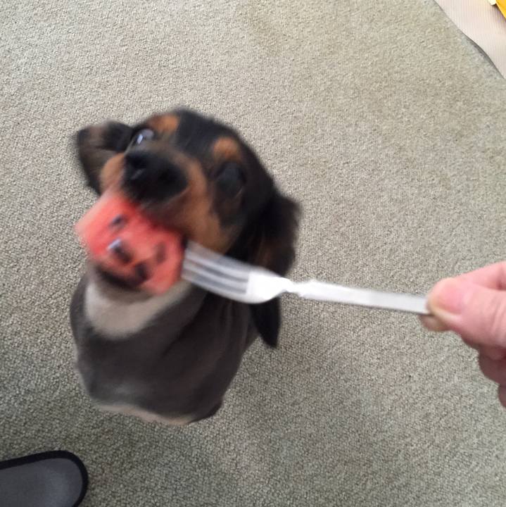 760db748 523b 45ac 926f c8c62245abf6