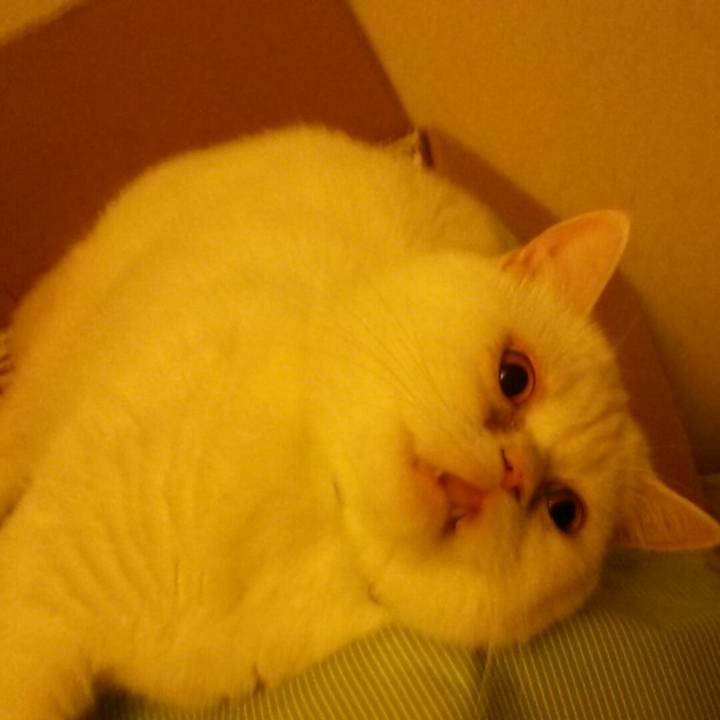 760de0a4 c5b1 494a 88d9 d0eff74fa2f1