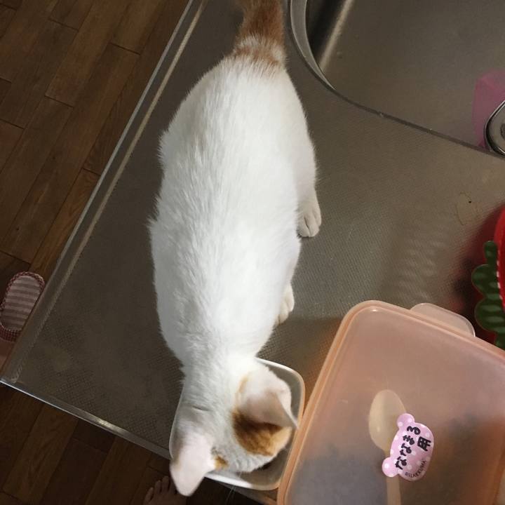 760e7e5b 0760 425b a041 863e4305c16d