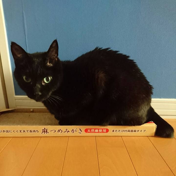 760ef84e 3a5c 403d 81fc 7372df931bc3