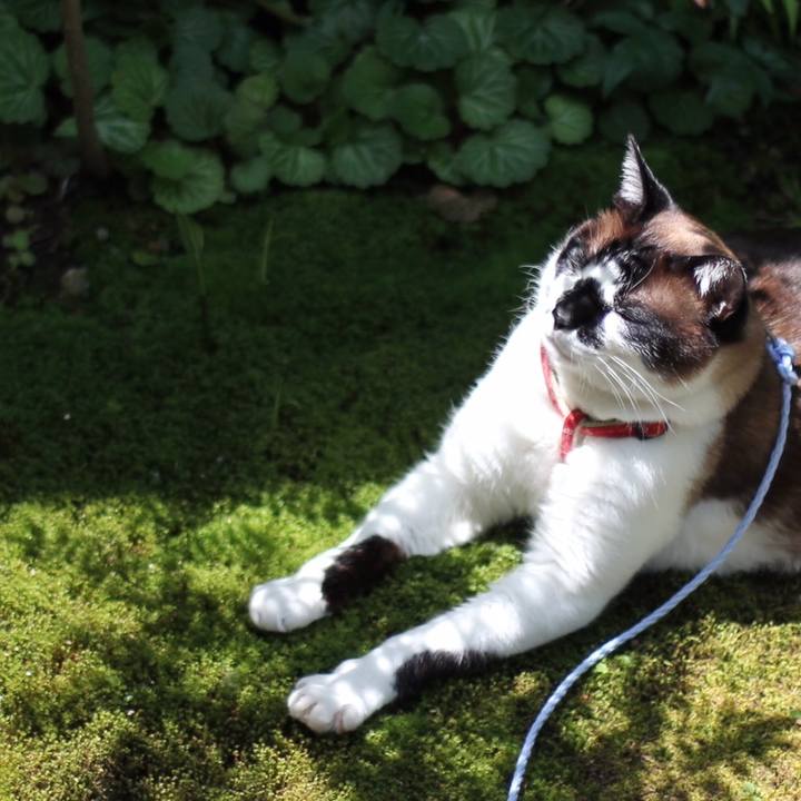 760f68fe 8649 4531 8764 56da87b695d0