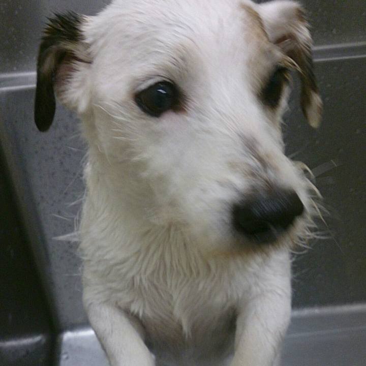 760ff5a9 f1f0 400f b384 da2941c8f02f