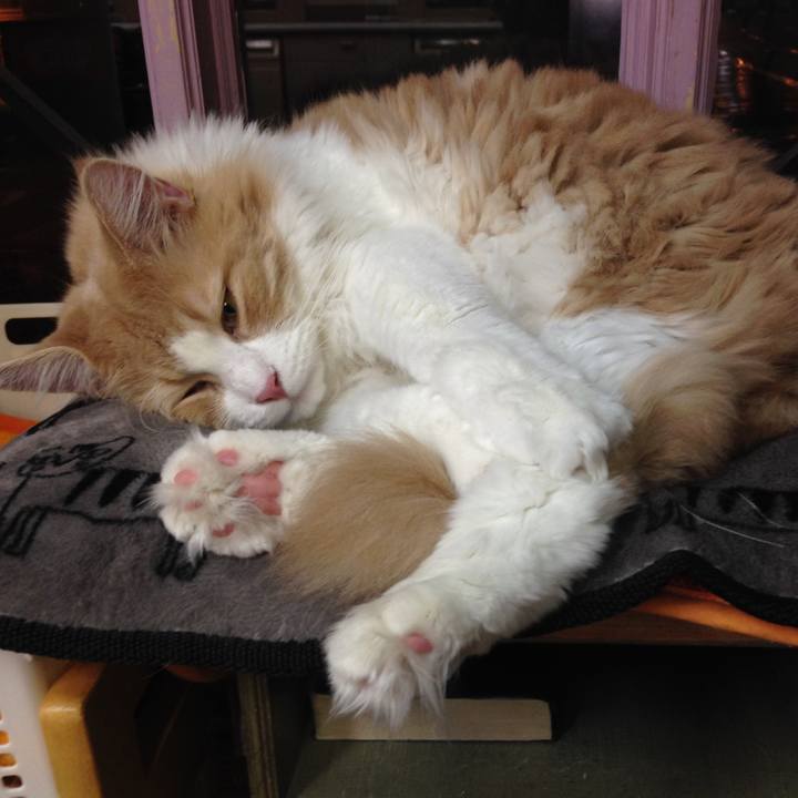 7610450e fdea 4993 92a2 c89d18b15819