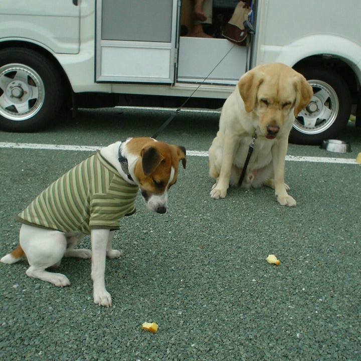 76107364 740a 42bd 8156 e967a621c140