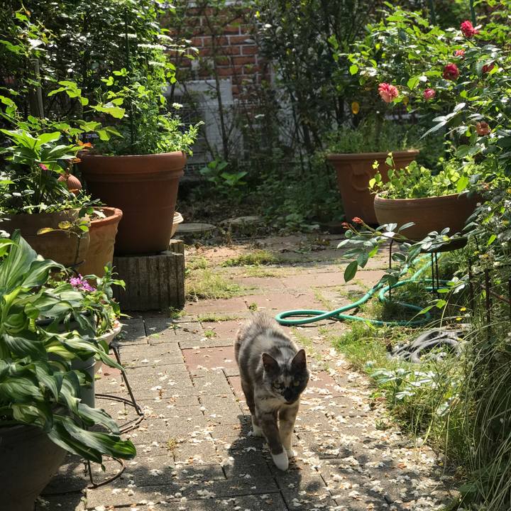 7610c659 12fd 49df a759 0613539d9812