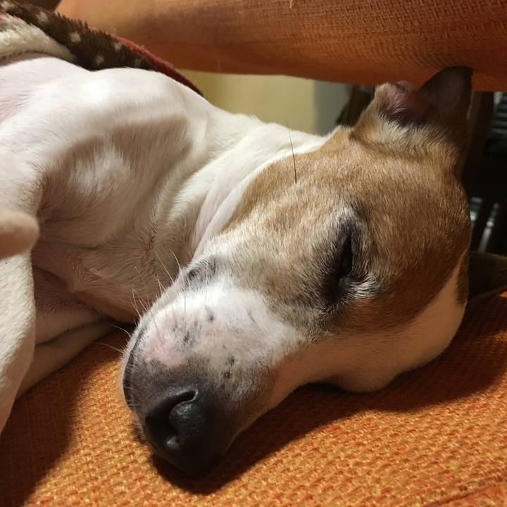 7610e360 1fec 41b2 9362 abfabd02ade7