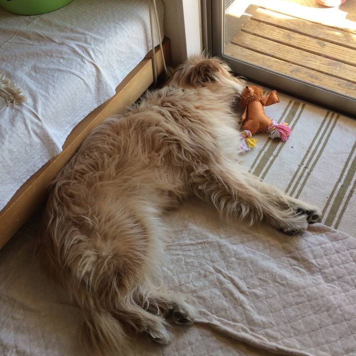 76115dab e9c3 46c4 98cb edec1f90a82d