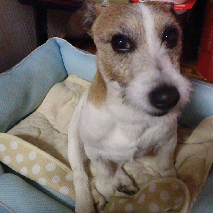 76116cb7 7994 4ad0 b960 26ee7a1a1fa3