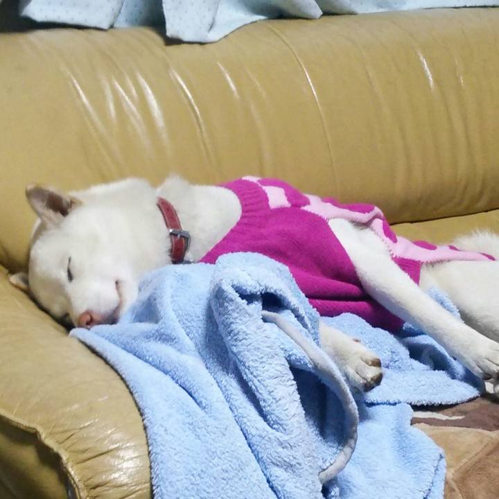 7611e4ca 436e 421b b828 e6aab3a2e5bf