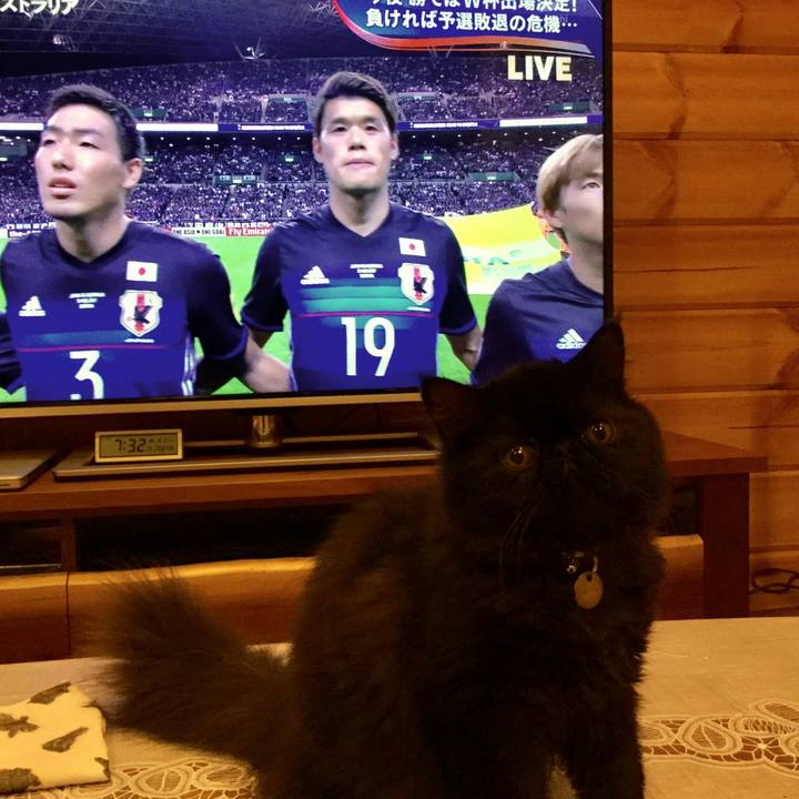 76122ccf 12d9 47b0 a319 082269f5771b