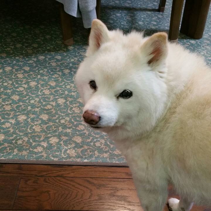 7612f652 ee54 425b 9fb8 7ecec75eaa45