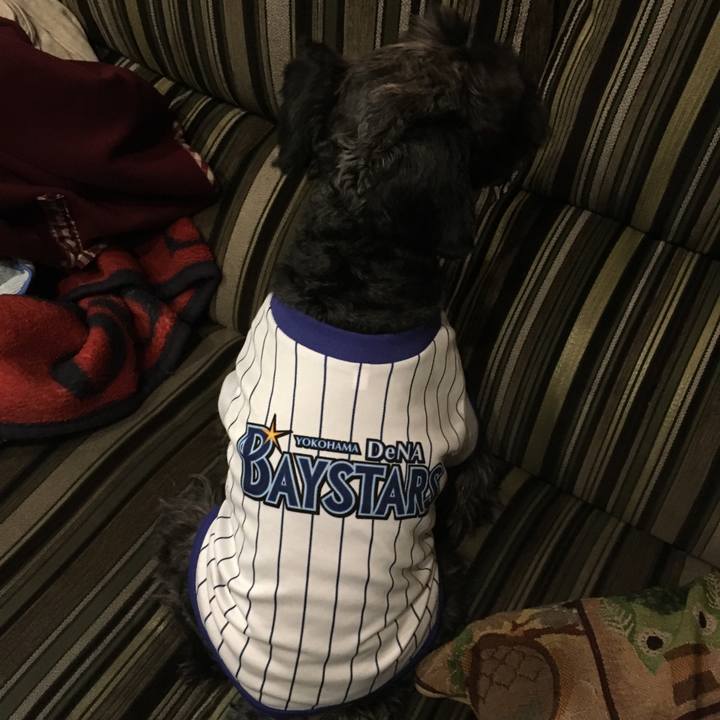 76131556 b756 4698 9364 f3b61245b0bf